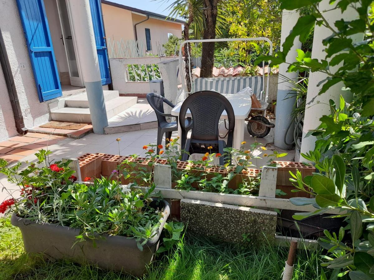 Sogno Vacanze Daire Massa  Dış mekan fotoğraf