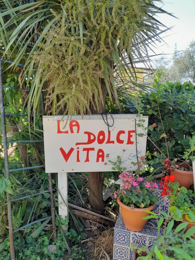 Sogno Vacanze Daire Massa  Dış mekan fotoğraf