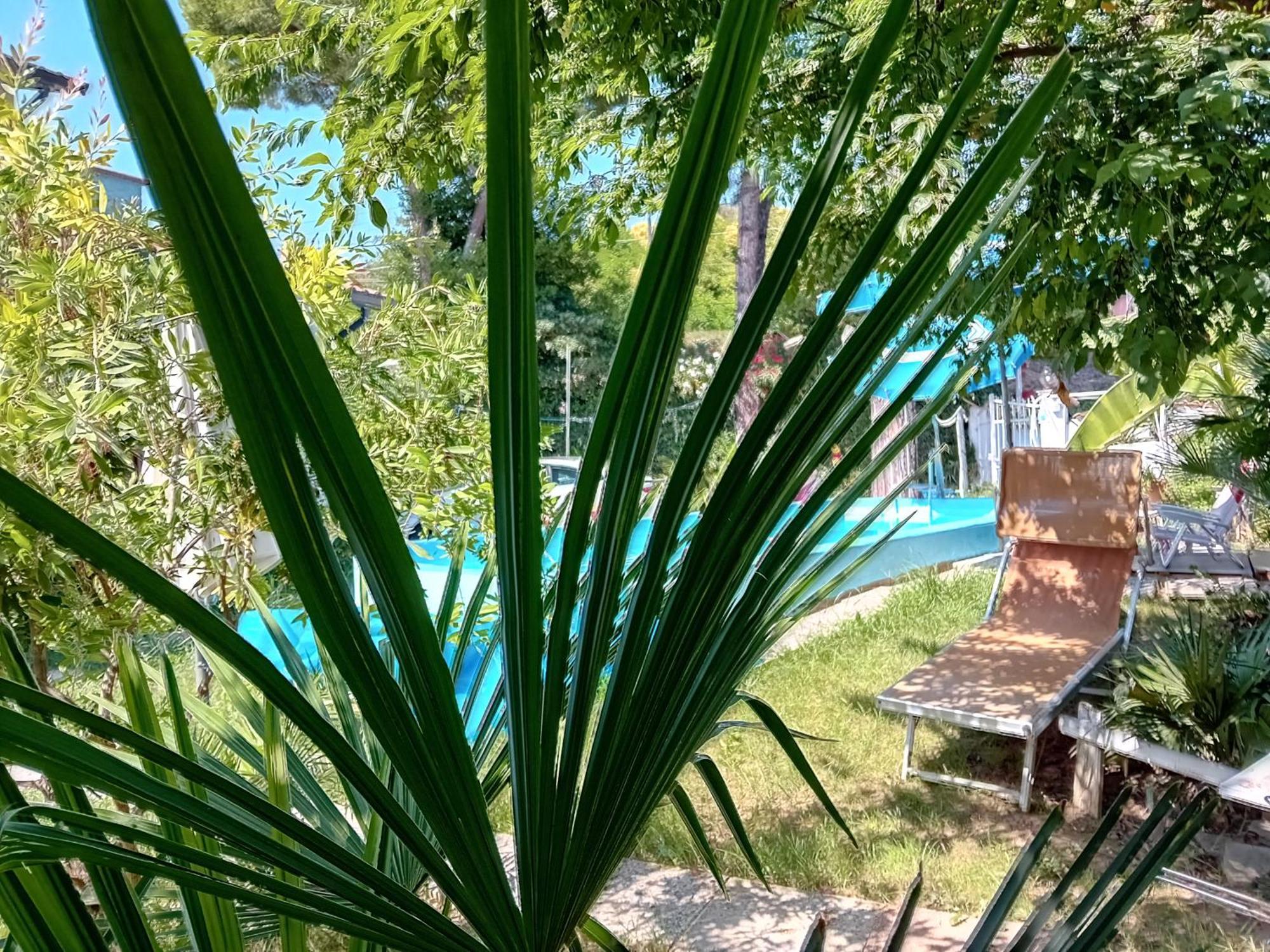 Sogno Vacanze Daire Massa  Dış mekan fotoğraf