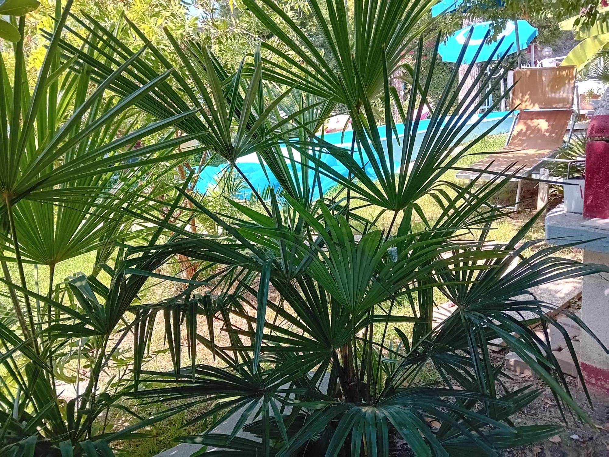 Sogno Vacanze Daire Massa  Dış mekan fotoğraf