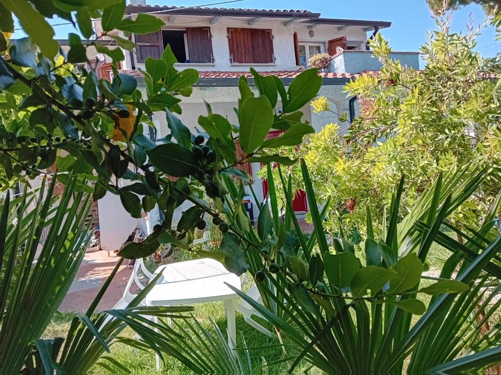 Sogno Vacanze Daire Massa  Dış mekan fotoğraf