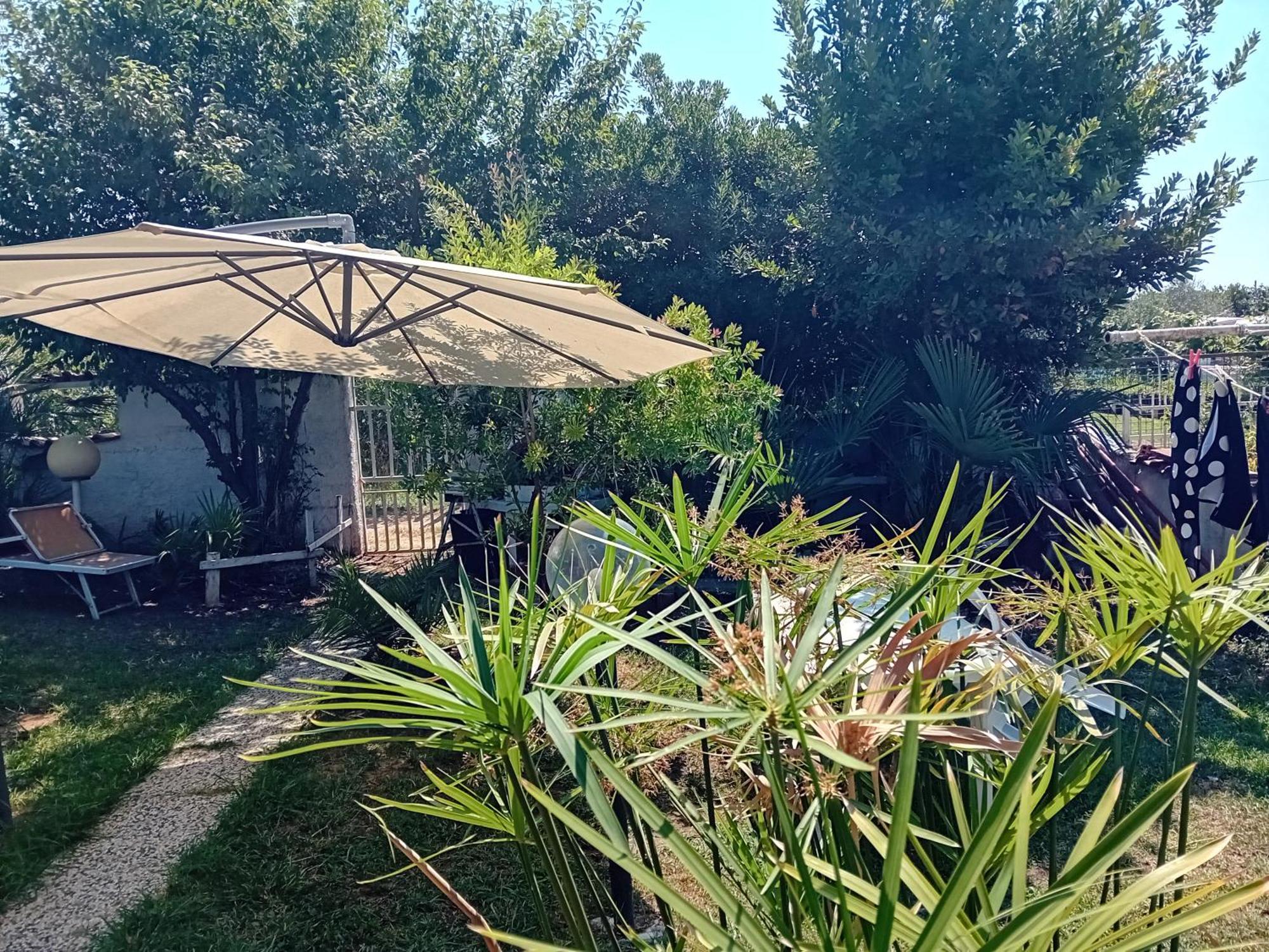 Sogno Vacanze Daire Massa  Dış mekan fotoğraf