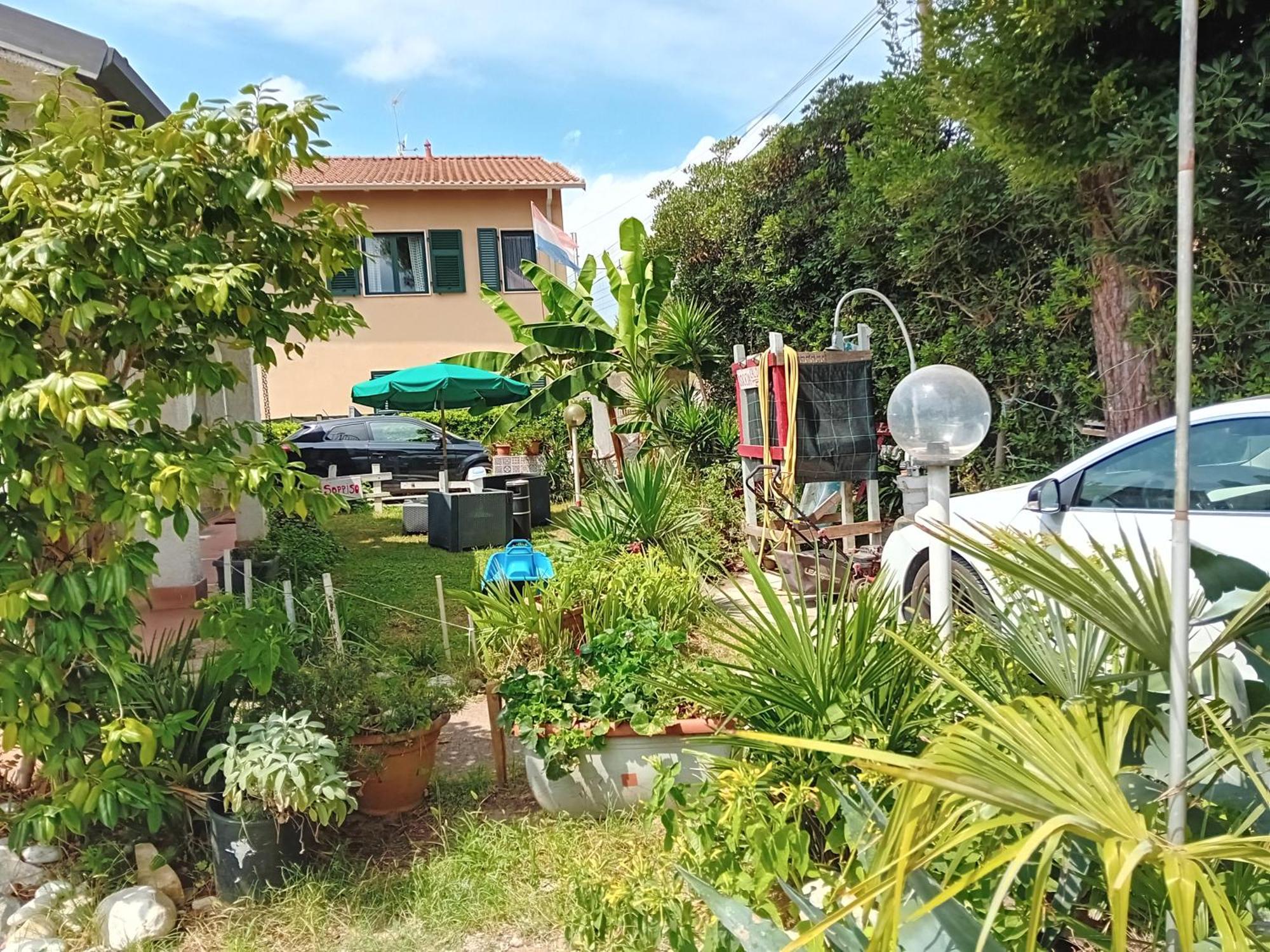 Sogno Vacanze Daire Massa  Dış mekan fotoğraf