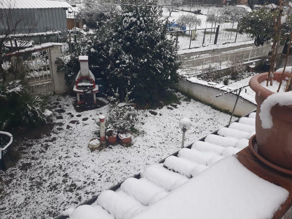 Sogno Vacanze Daire Massa  Dış mekan fotoğraf