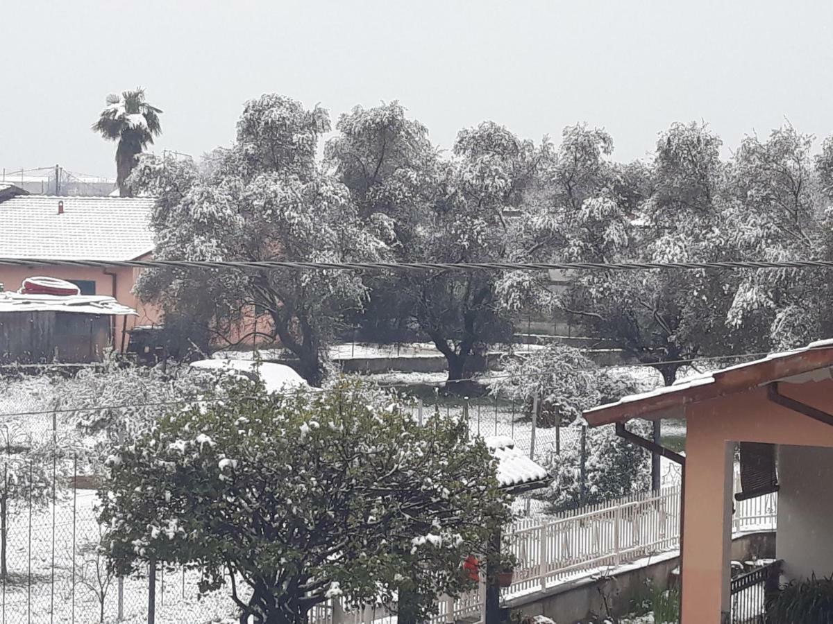 Sogno Vacanze Daire Massa  Dış mekan fotoğraf