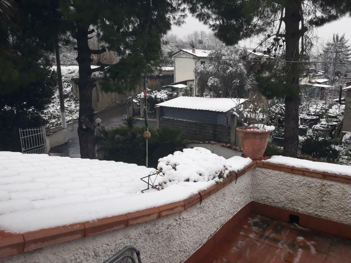 Sogno Vacanze Daire Massa  Dış mekan fotoğraf